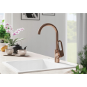 Bateria Zlewozmywakowa Bateria Kuchenna Stojąca TIERRA II Gatunek